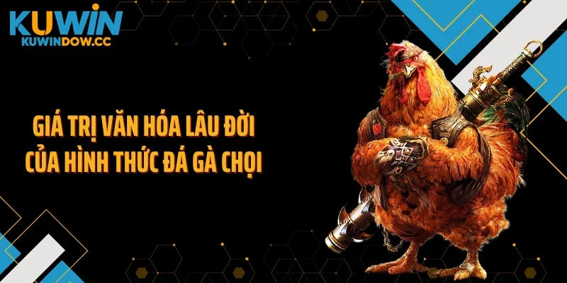 Giá trị văn hóa lâu đời của hình thức đá gà chọi
